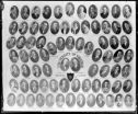 image of the page of the digitized material