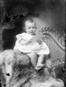 image of the page of the digitized material