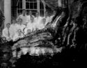 image of the page of the digitized material