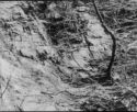 image of the page of the digitized material