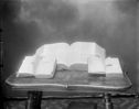 image of the page of the digitized material