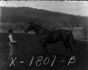image of the page of the digitized material