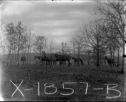 image of the page of the digitized material