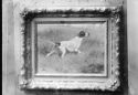 image of the page of the digitized material