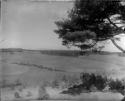 image of the page of the digitized material