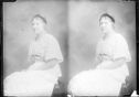 image of the page of the digitized material