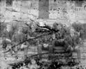 image of the page of the digitized material