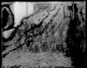 image of the page of the digitized material