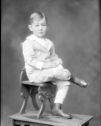 image of the page of the digitized material