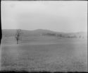 image of the page of the digitized material