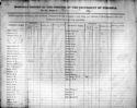 image of the page of the digitized material
