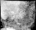 image of the page of the digitized material