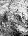 image of the page of the digitized material
