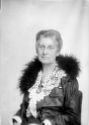 image of the page of the digitized material