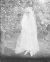 image of the page of the digitized material