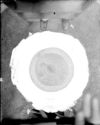 image of the page of the digitized material