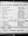 image of the page of the digitized material