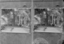 image of the page of the digitized material