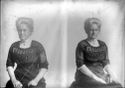 image of the page of the digitized material
