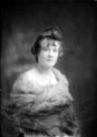 image of the page of the digitized material