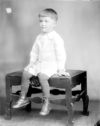 image of the page of the digitized material