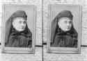 image of the page of the digitized material