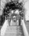 image of the page of the digitized material