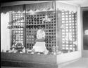 image of the page of the digitized material