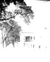 image of the page of the digitized material