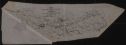 image of the page of the digitized material