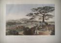 image of the page of the digitized material
