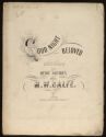 image of the page of the digitized material