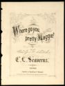 image of the page of the digitized material