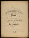 image of the page of the digitized material