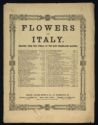 image of the page of the digitized material