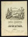 image of the page of the digitized material