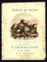 image of the page of the digitized material
