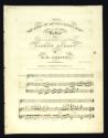 image of the page of the digitized material