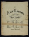 image of the page of the digitized material
