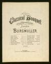 image of the page of the digitized material
