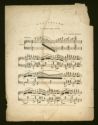 image of the page of the digitized material