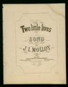 image of the page of the digitized material