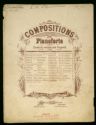 image of the page of the digitized material