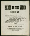 image of the page of the digitized material