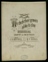 image of the page of the digitized material