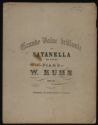 image of the page of the digitized material