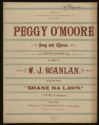image of the page of the digitized material