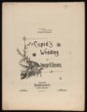 image of the page of the digitized material
