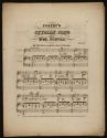 image of the page of the digitized material
