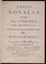 image of the page of the digitized material